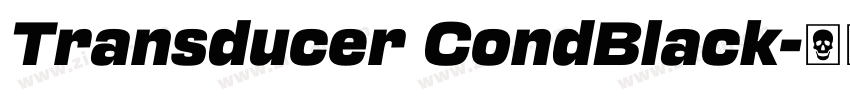 Transducer CondBlack字体转换